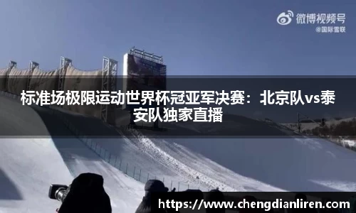 标准场极限运动世界杯冠亚军决赛：北京队vs泰安队独家直播